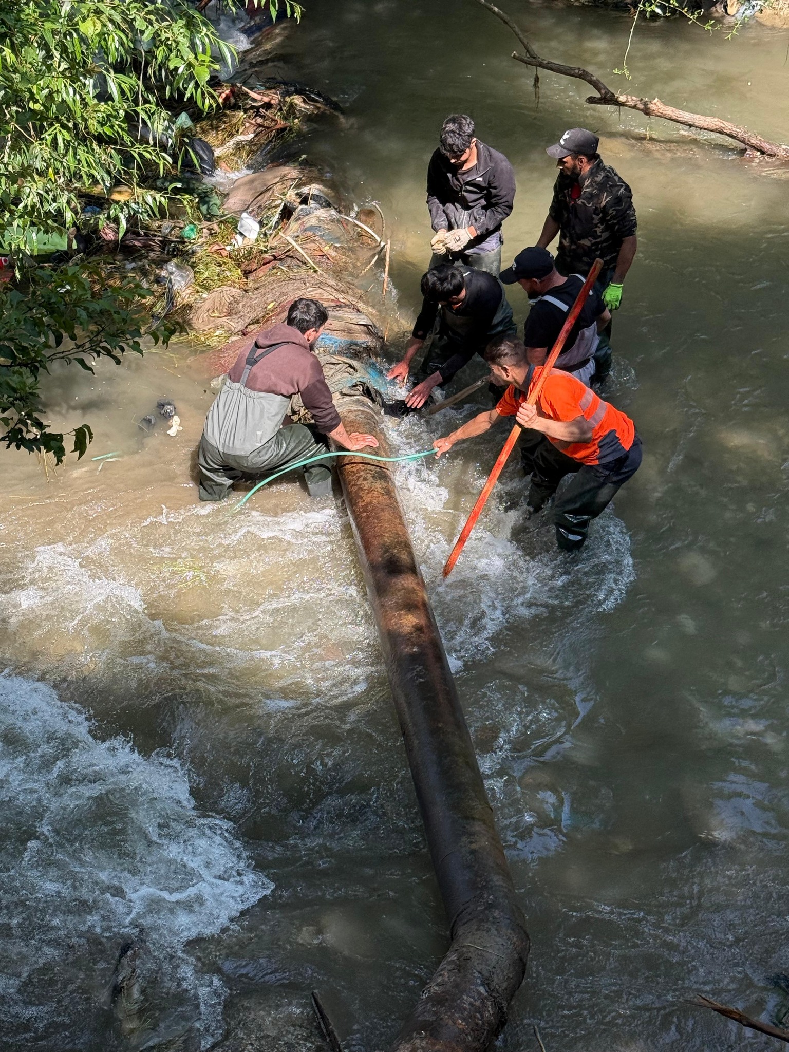 Primăria Orașului Râșnov : Campanie de ecologizare pe cursul râului Ghimbășel