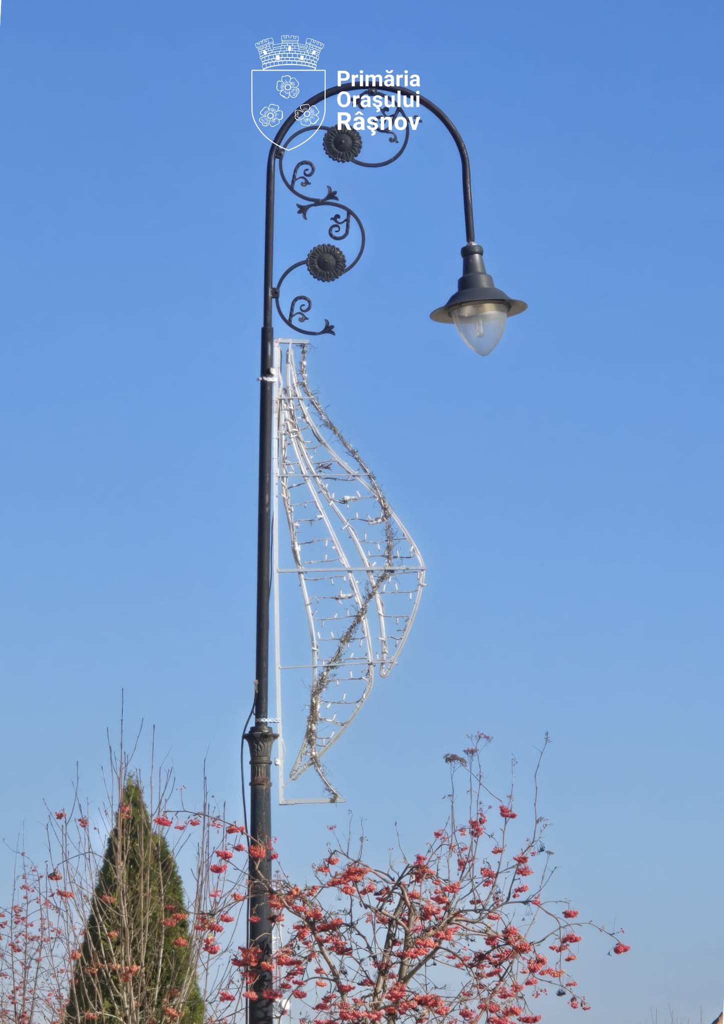 Primăria Orașului Râșnov : Pregătirile pentru sărbătorile de iarnă au început la Râșnov!